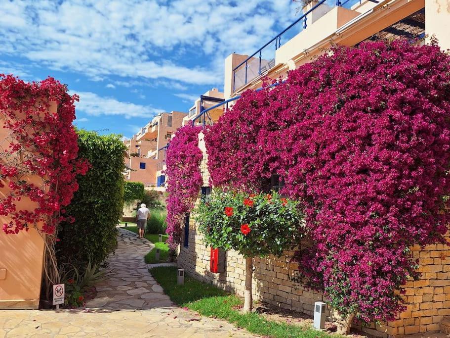 Sea View Cozy Apartment La Tanita โมฮาการ์ ภายนอก รูปภาพ